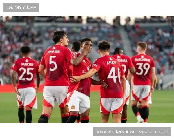 英超各球队球迷情绪分析